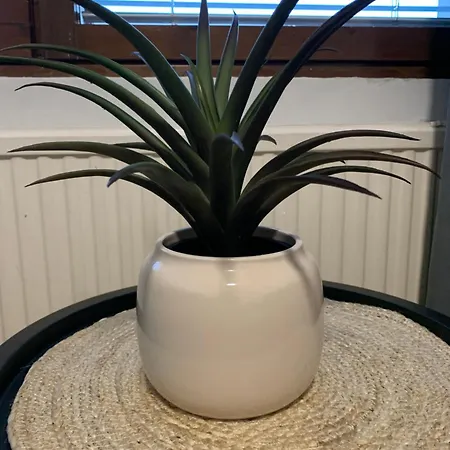 Cozy 2br Ka64 With Sauna Uleåborg