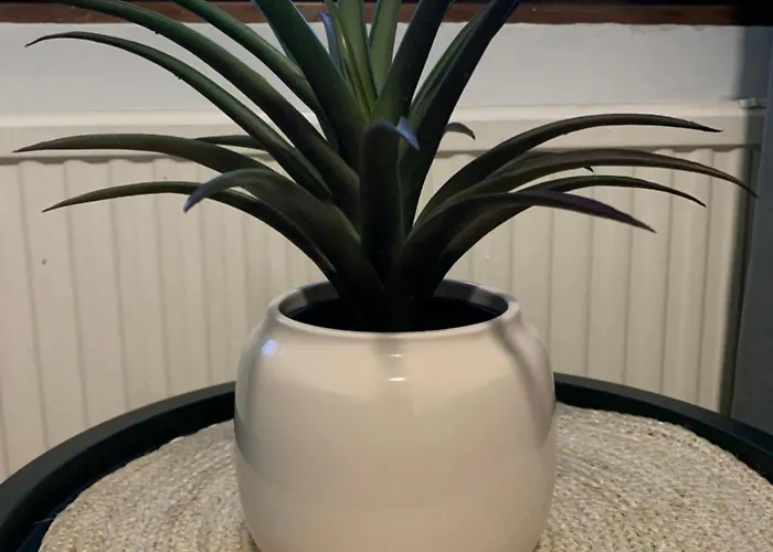 Cozy 2br Ka64 With Sauna Uleåborg